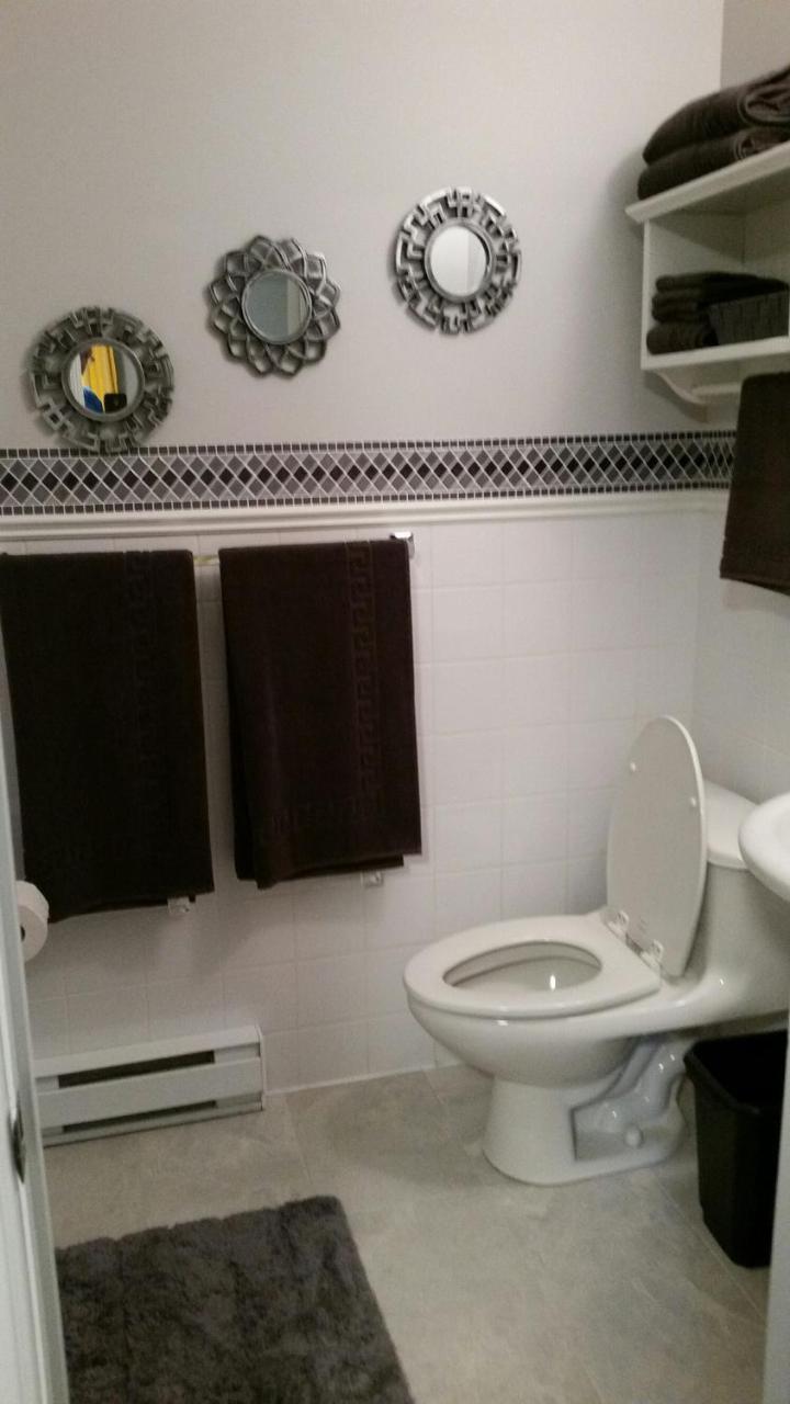 Condo Lac Archambault 295 サン・ドナ・ド・モントカーム エクステリア 写真